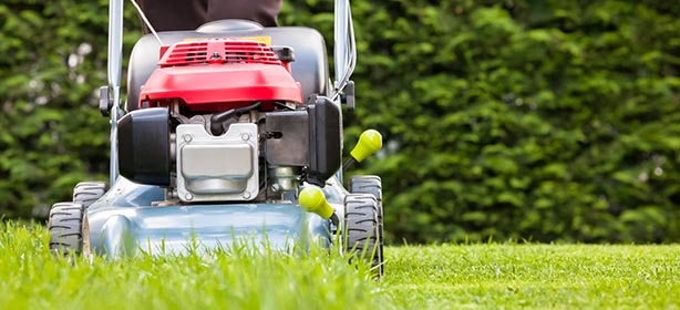 Catch Mowing
